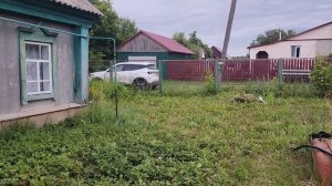 Наелась ягод, собрала веники