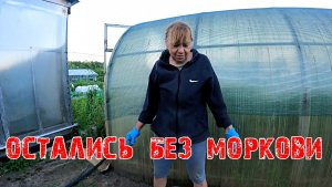 ОСТАЛИСЬ БЕЗ МОРКОВИ  ОТДЫХАЮ ХОРОШО ТОЛЬКО УСТАЮ ОЧЕНЬ
