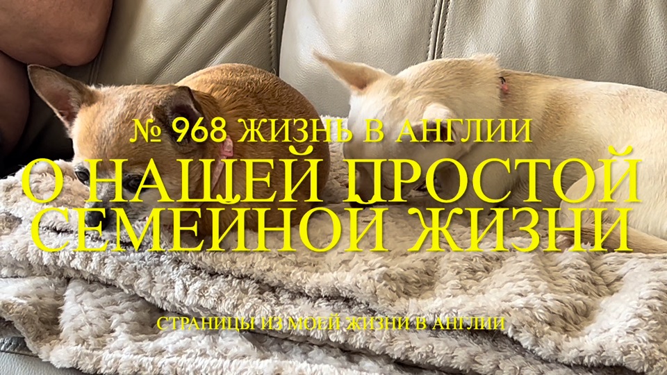 О нашей простой семейной жизни. № 968 Жизнь в Англии