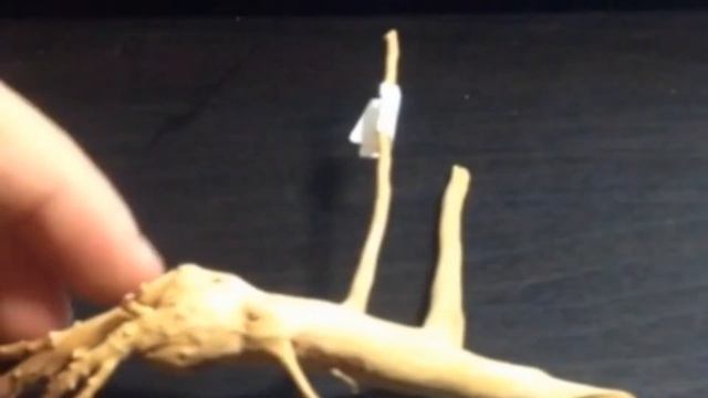 Коряга для декора