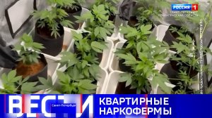 Вести Санкт-Петербург. Выпуск 09.30 от 30.06.2026