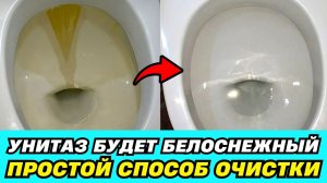 Показываю, как очистить унитаз от известкового налета и мочевого камня! Делюсь хозяйской хитростью
