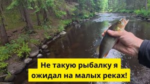 День на малой реке. Что тут клюёт?