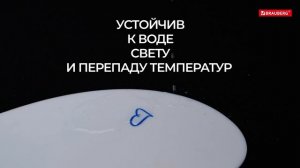 Перманентные маркеры BRAUBERG CONTRACT
