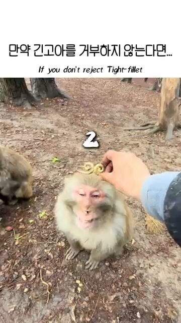 КТО ДОСТОИН КОРОНЫ? 👑 Это был он 😂 Ранки 2026 🔥