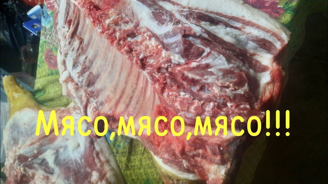 26 февраля 2026 г.Крымская жизнь! Наш натуральный продукт смотреть онлайн