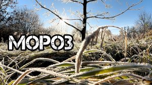 Опилкобетон (арболит) 🏡√107 Строим Дом. 25.10.2022 первый мороз, замёрзла заливка