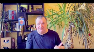 Возраст Земли вывернули
