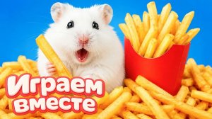 ХОМЯК ВЫБИРАЕТСЯ ИЗ СЕКРЕТНОЙ ХОМЯЧЕЙ ТЮРЬМЫ ! Забавные животные ! Супер лабиринт для хомяка №38