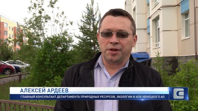 День оленевода