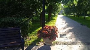 VID_20260630_190426.mp4