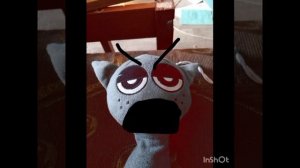 злые лица котика