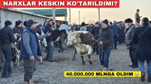 Хамма Хайрон Нимага Мол Бозорда Нархлар Кескин Кутарилябди? Сотилган ва Кайтган Мол Нархлари!