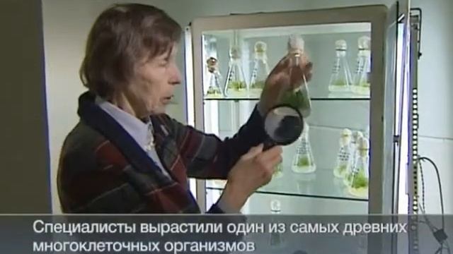 Вечная мерзлота подарила человечеству древнее растение смотреть онлайн