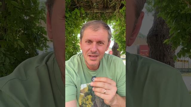 Апельсиновый сезон