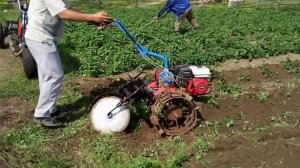 Окучник для картофеля своими руками
