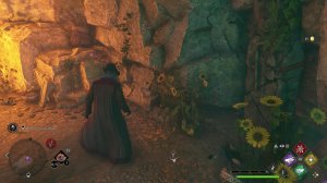 PS 5. Hogwarts Legacy. Хогвартс Наследие. 17 серия.