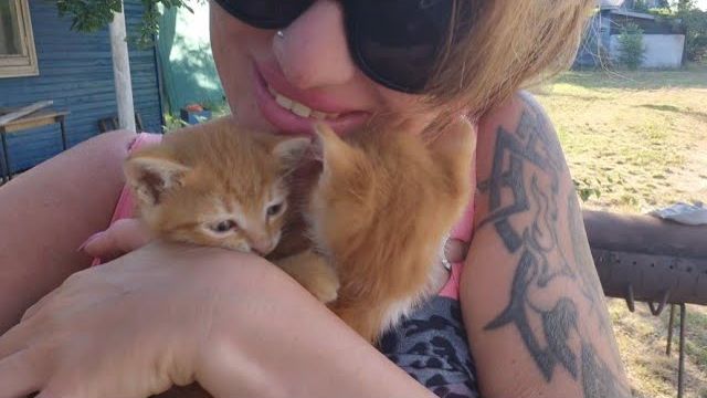 Алиса Неземная. НЯНЬЧИЛА КОТЯТОК😻🥰ВЕЧЕР У ДОМИКА🏡 смотреть онлайн
