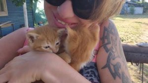 Алиса Неземная. НЯНЬЧИЛА КОТЯТОК😻🥰ВЕЧЕР У ДОМИКА🏡