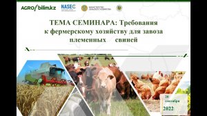 Требования к фермерскому хозяйству для завоза племенных свиней