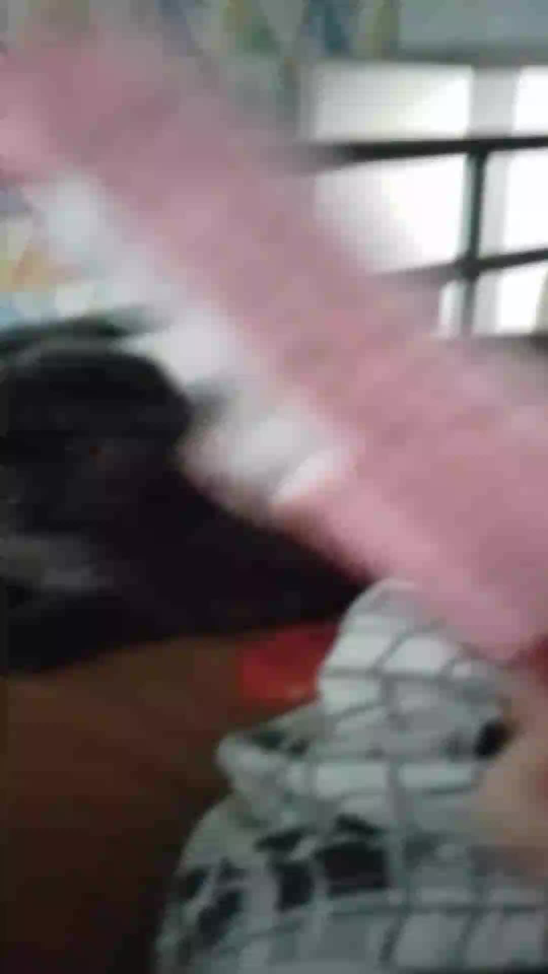 пр смотреть онлайн