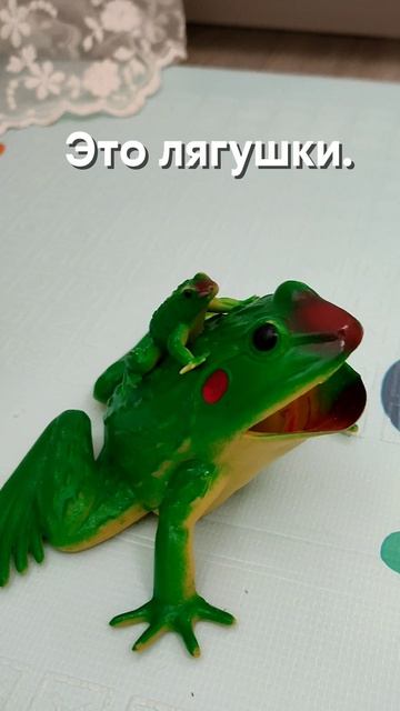 Лягушка на трёх языках.