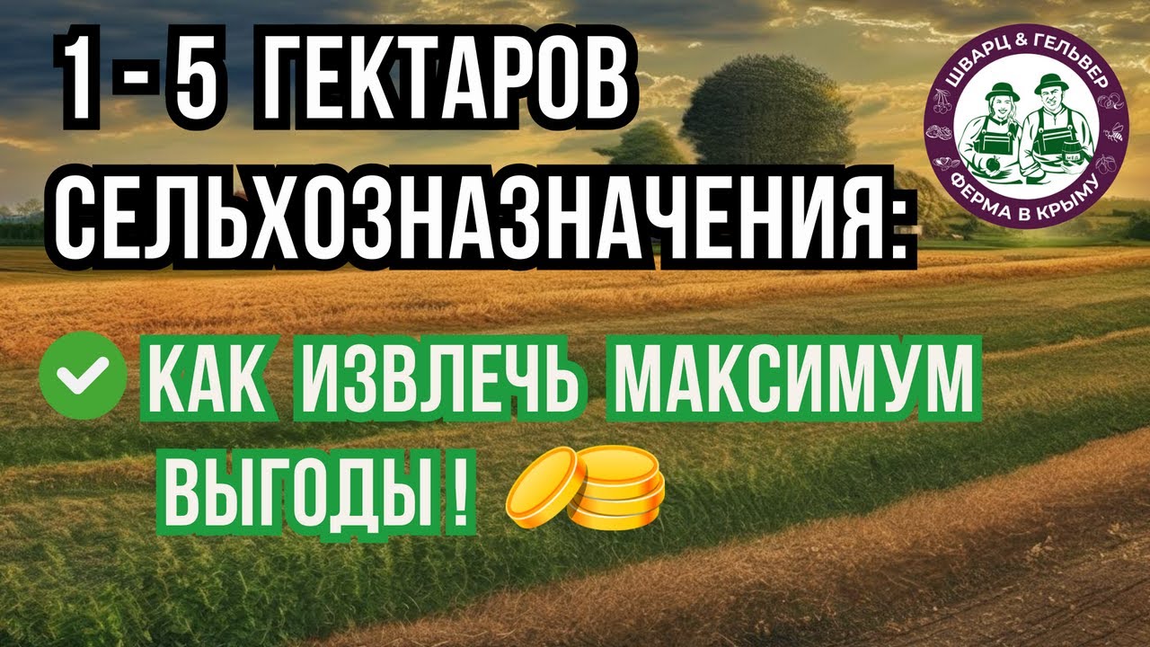 Ваша ЗЕМЛЯ простаивает? Вот, что МОЖНО сделать с участком 1-5 ГЕКТАРОВ смотреть онлайн