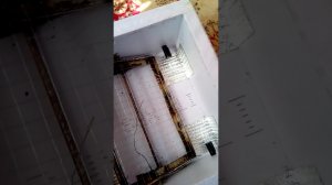 Механизм для переворота яиц в инкубаторе  -  The mechanism for turning eggs in an incubator
