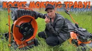 Какая газонокосилка может косить мокрую траву? ZimAni Quattro Blade + турбонож!