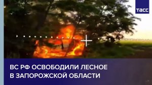 ВС РФ освободили Лесное в Запорожской области