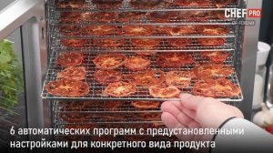 Электросушилка CHEF PRO CF-FD824B