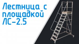 Лестница с площадкой ЛС-2,5