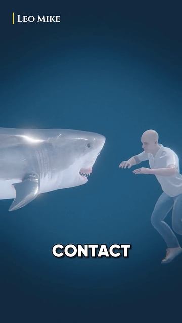 How To Survive Shark Attack_
