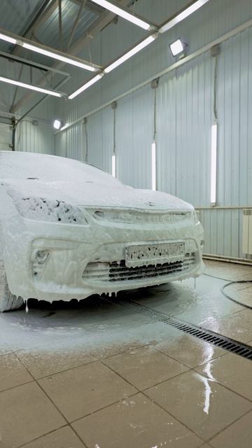 КАК СПАСТИ МАШИНУ ОТ НАСЕКОМЫХ #detailing #hack #foamheroes #diy #lifehacks #juicycitus #detailing