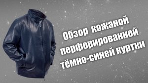 Обзор перфорированной кожаной куртки iconic