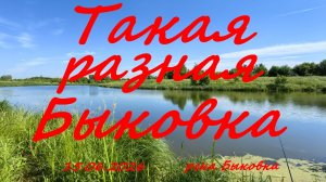 Такая разная Быковка.15.06.2026. река Быковка. Рыбалка в Московской области.