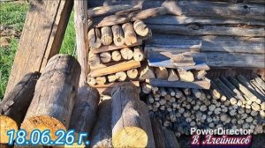 Дача, дрова, Брат и природа