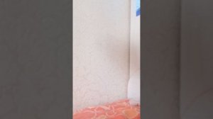 опять распоковка стичя