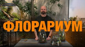 как сделать ФЛОРАРИУМ своими руками | полный гайд от GREENSTUDIO