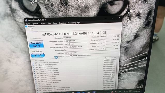 2754.mp4 смотреть онлайн