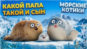 Морские Котики: Какой папа, такой и сын 😛💙 Подборка эпизодов