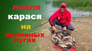 ловля карася на заливных лугах