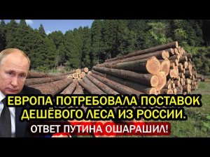 Европа потребовала дешёвого леса по старым контрактам! Ответ Путина шокировал