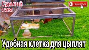 Разборная клетка для цыплят своими руками