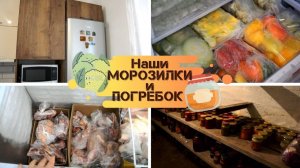 ОБЗОР наших МОРОЗИЛОК и ПОГРЕБА // Организация ХРАНЕНИЯ заморозки и банок // Новый ХОЛОДИЛЬНИК