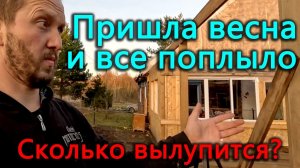 Сколько выживет перепелят после отключения света? Боремся с весенней распутицей. Жизнь в деревне.