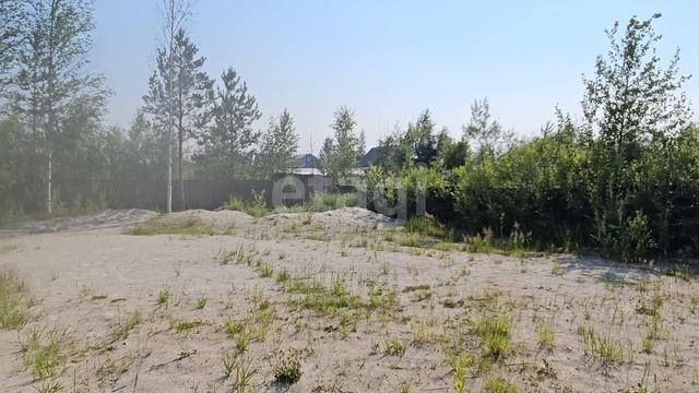 12621037 Рябинушка смотреть онлайн