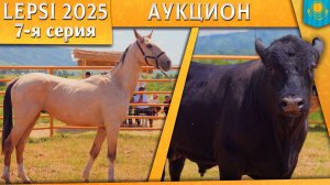 Ахалтекинцы за $6000 и $5600. Бык Абердин ангус за 4,2 миллиона тенге. Аукцион на выставке в Lepsi