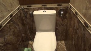 Ремонт Туалета  с Сантехническим Шкафом