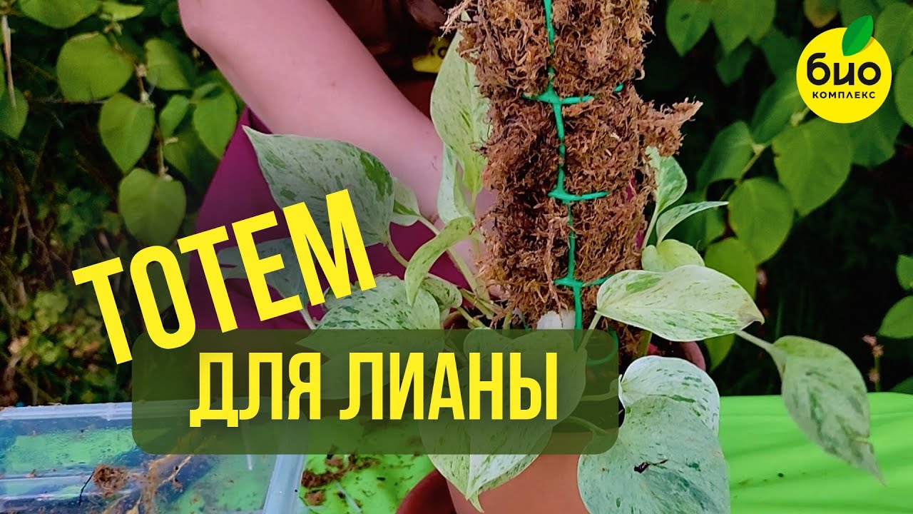 Делаем тотем для лианы своими руками смотреть онлайн